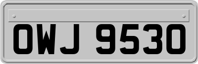 OWJ9530