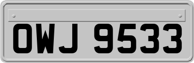 OWJ9533