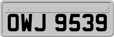 OWJ9539