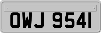 OWJ9541