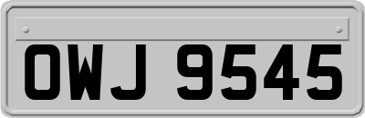 OWJ9545