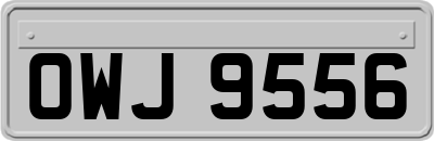 OWJ9556