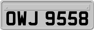 OWJ9558