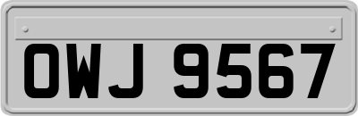 OWJ9567