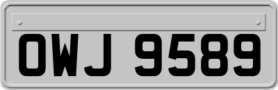 OWJ9589