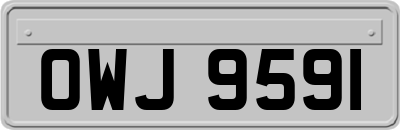 OWJ9591