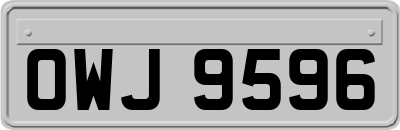 OWJ9596