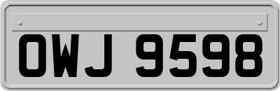 OWJ9598