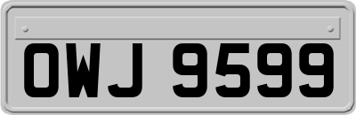 OWJ9599