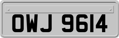 OWJ9614
