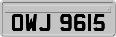 OWJ9615
