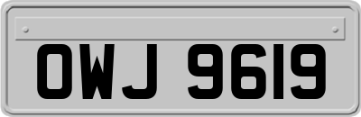 OWJ9619