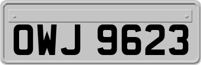 OWJ9623