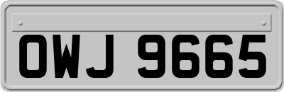 OWJ9665