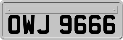 OWJ9666