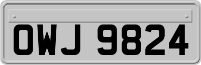 OWJ9824