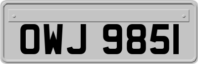 OWJ9851