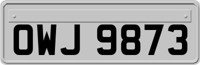 OWJ9873