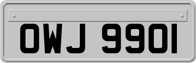 OWJ9901