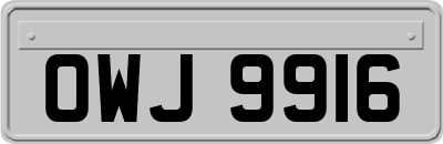 OWJ9916