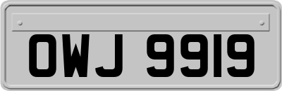OWJ9919