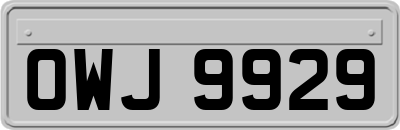 OWJ9929