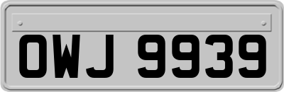 OWJ9939