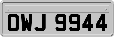 OWJ9944