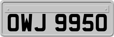 OWJ9950