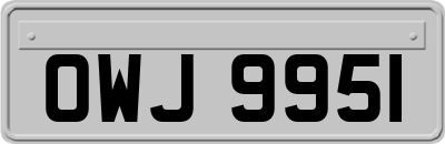 OWJ9951
