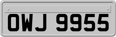 OWJ9955