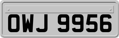 OWJ9956