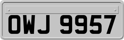 OWJ9957