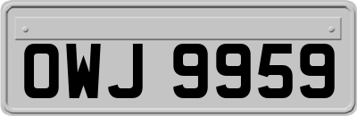 OWJ9959