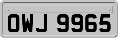 OWJ9965
