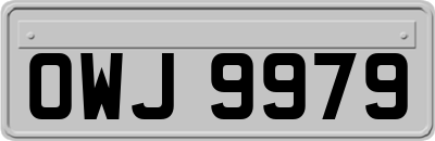OWJ9979