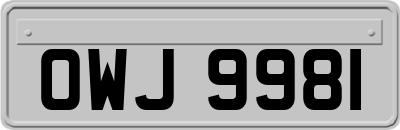 OWJ9981