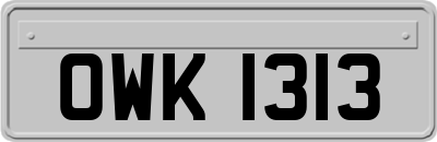 OWK1313
