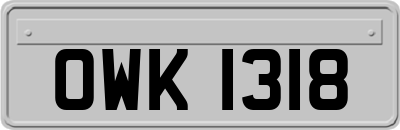 OWK1318