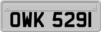 OWK5291
