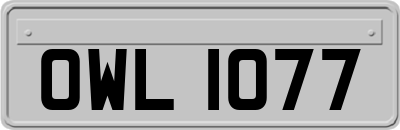 OWL1077