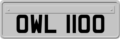 OWL1100
