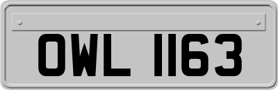 OWL1163