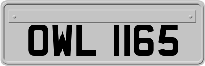 OWL1165
