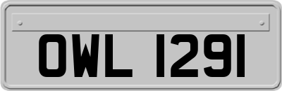 OWL1291
