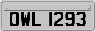 OWL1293