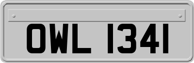 OWL1341
