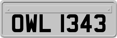OWL1343