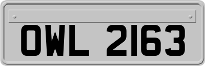 OWL2163