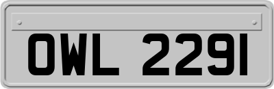 OWL2291
